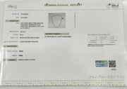 218.53/CT BLUE TOPAZ  BEADS (200)